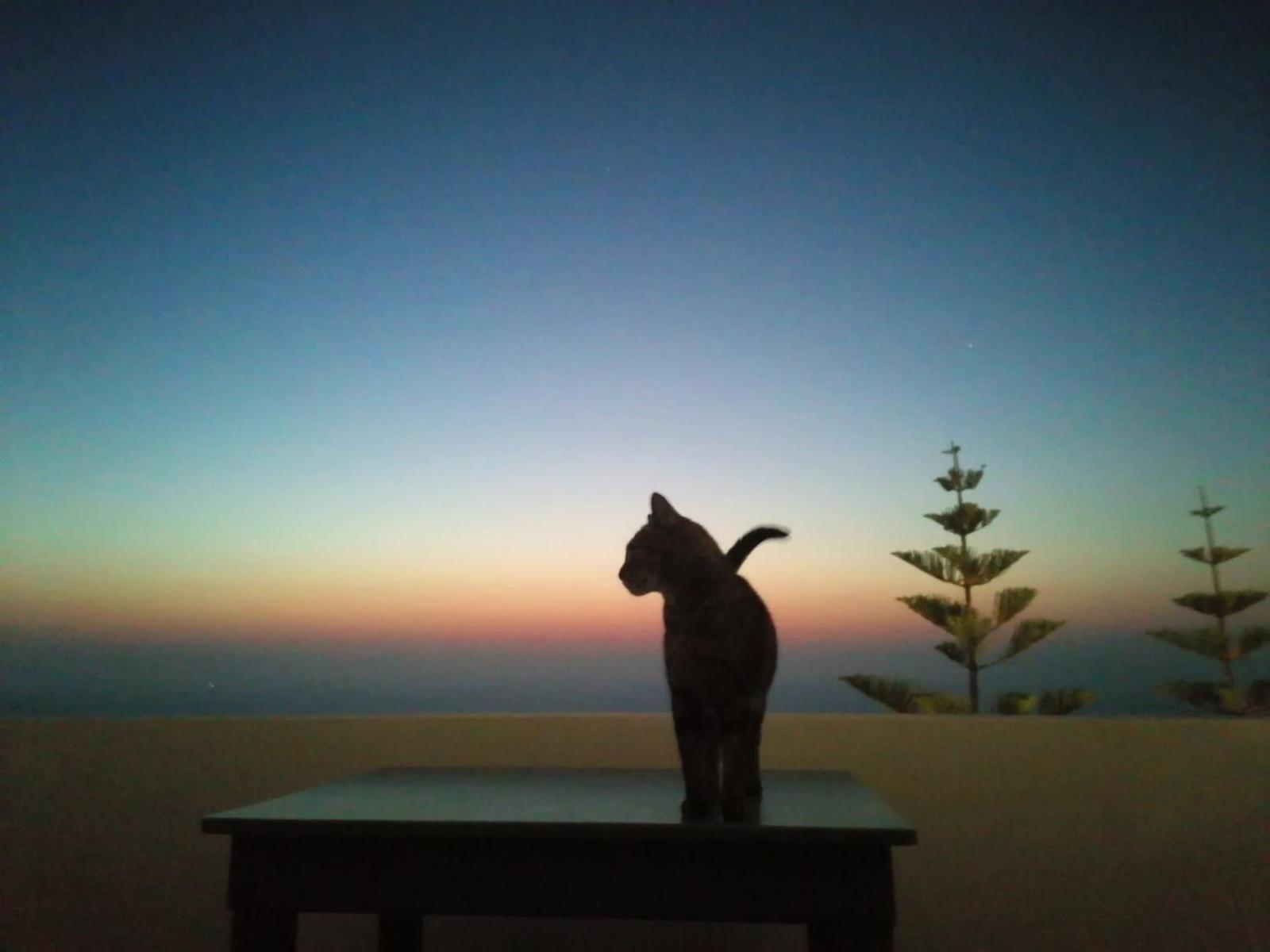Phaos Santorini Suites 이메로비글리 외부 사진