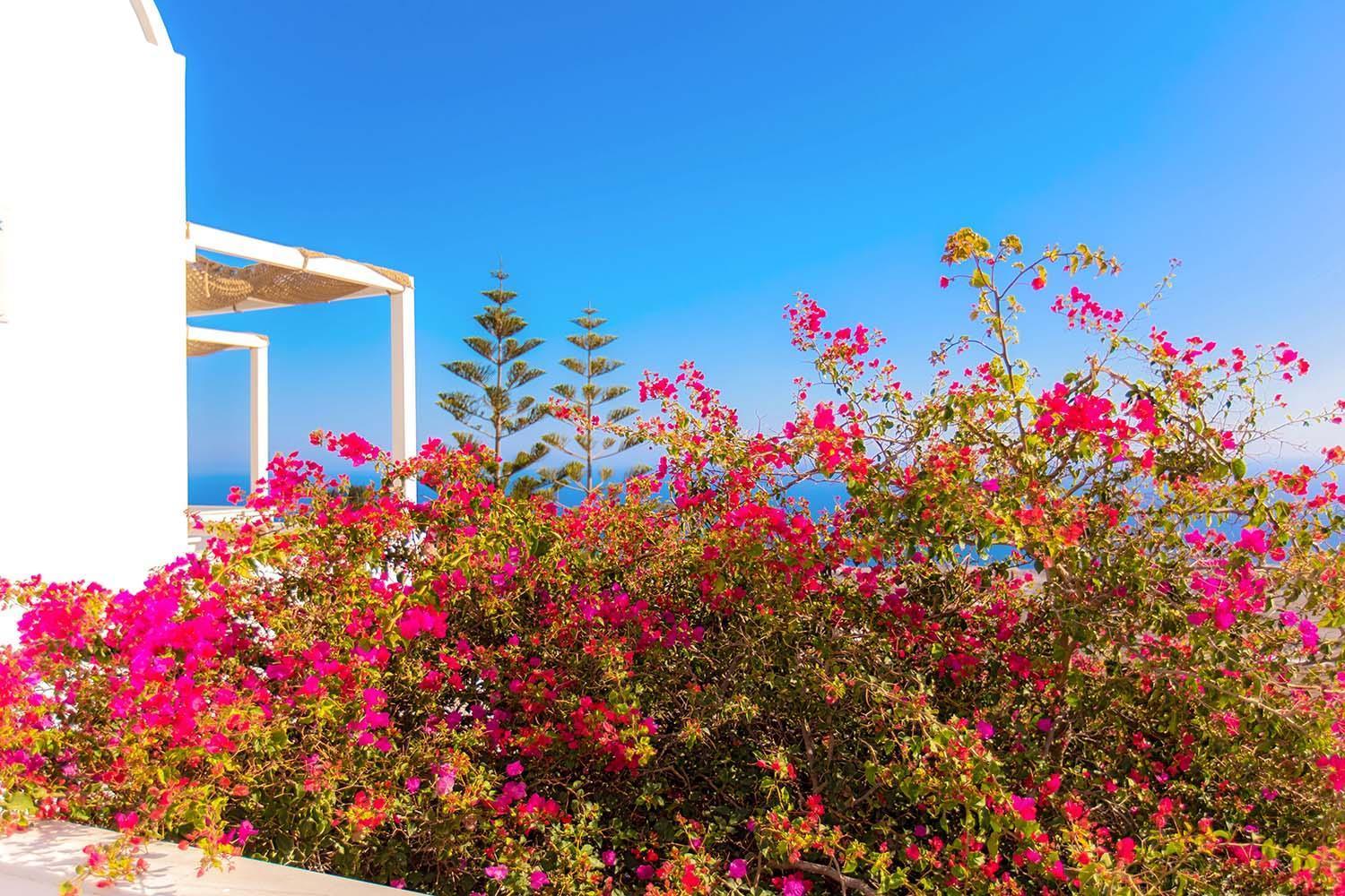 Phaos Santorini Suites 이메로비글리 외부 사진